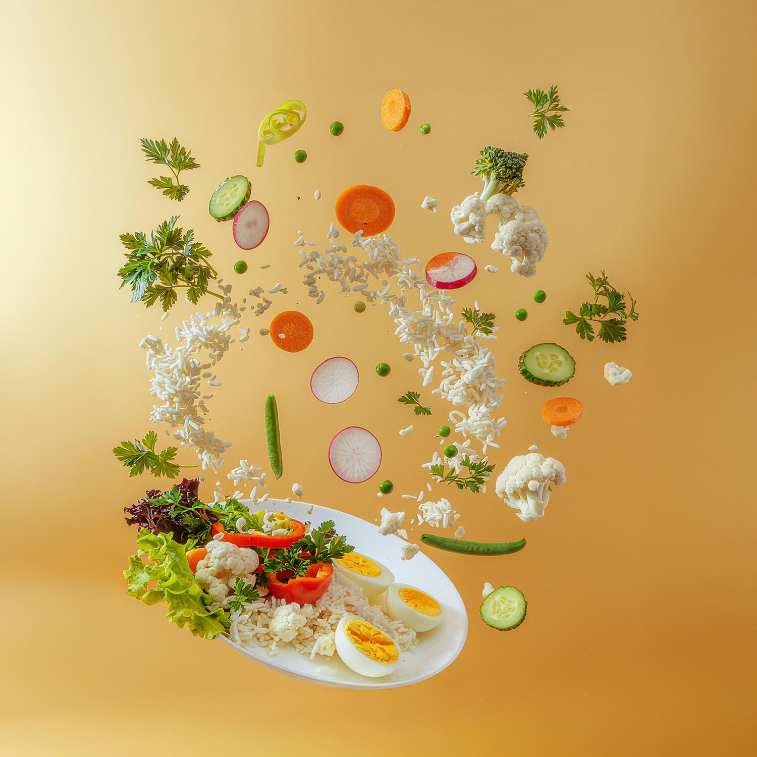 Sterke start voor landelijk programma Versnelling Voedseltransitie Langdurige Zorg