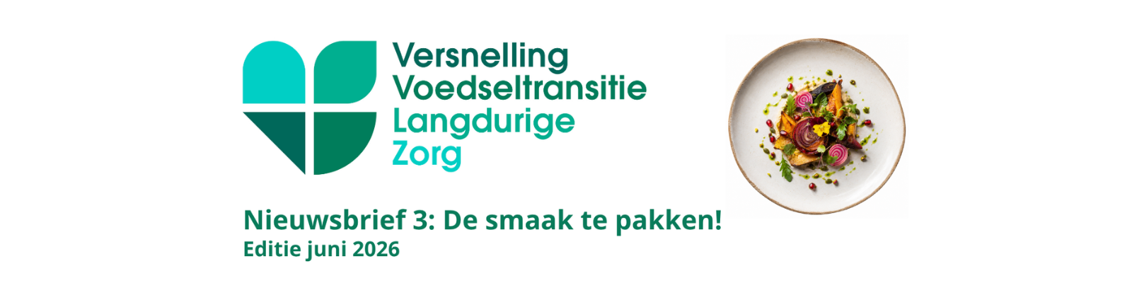 Nieuwsbrief VVL | Editie juni | nummer 3